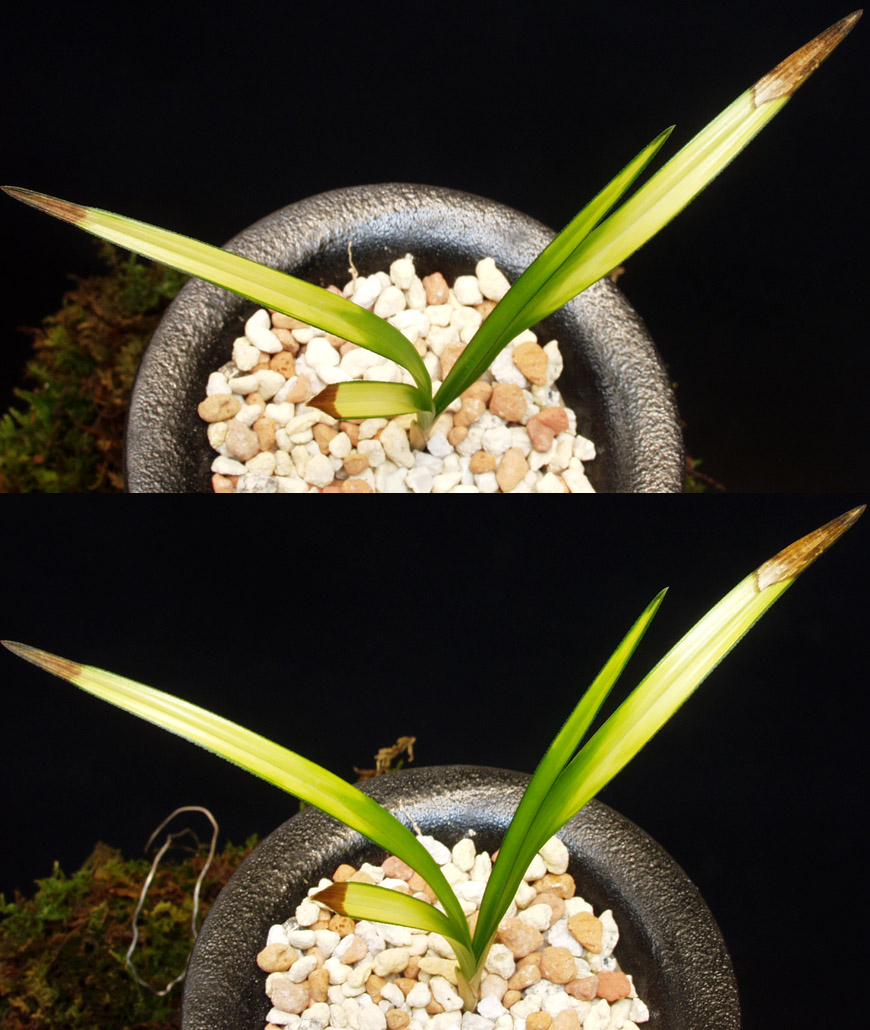 ������ ū������ �� �� �ֽ��ϴ�.