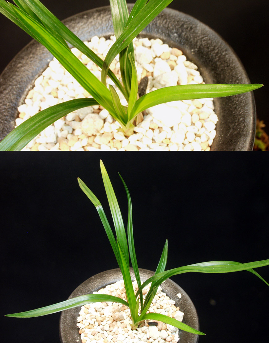 ������ ū������ �� �� �ֽ��ϴ�.