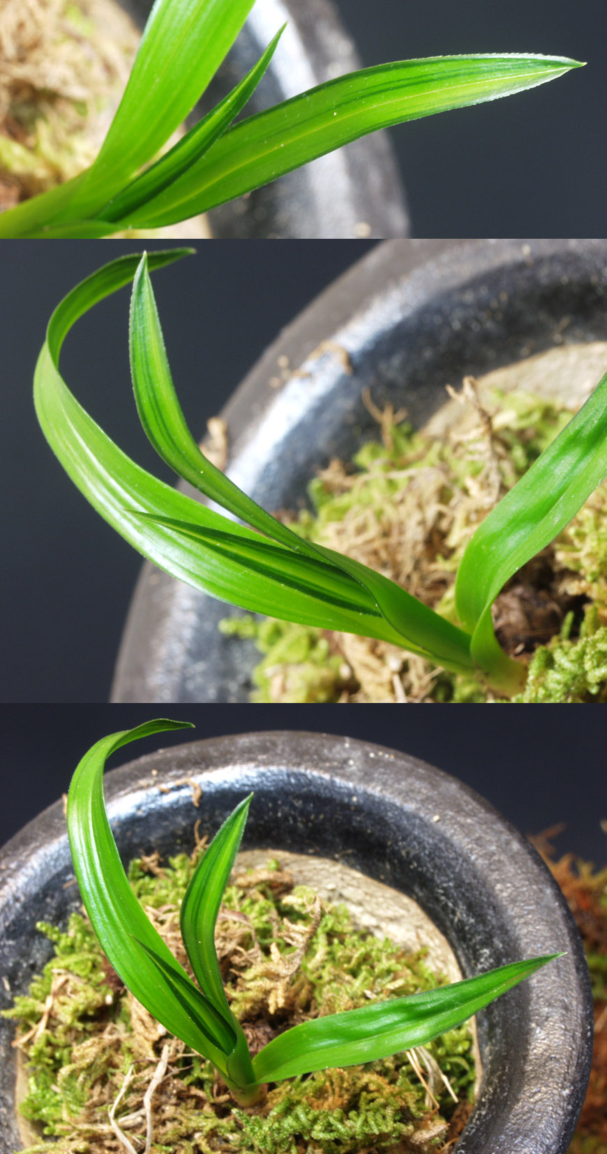 ������ ū������ �� �� �ֽ��ϴ�.