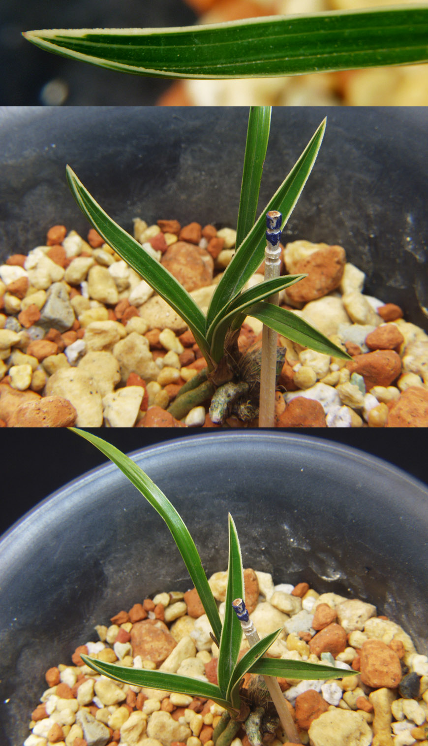 ������ ū������ �� �� �ֽ��ϴ�.