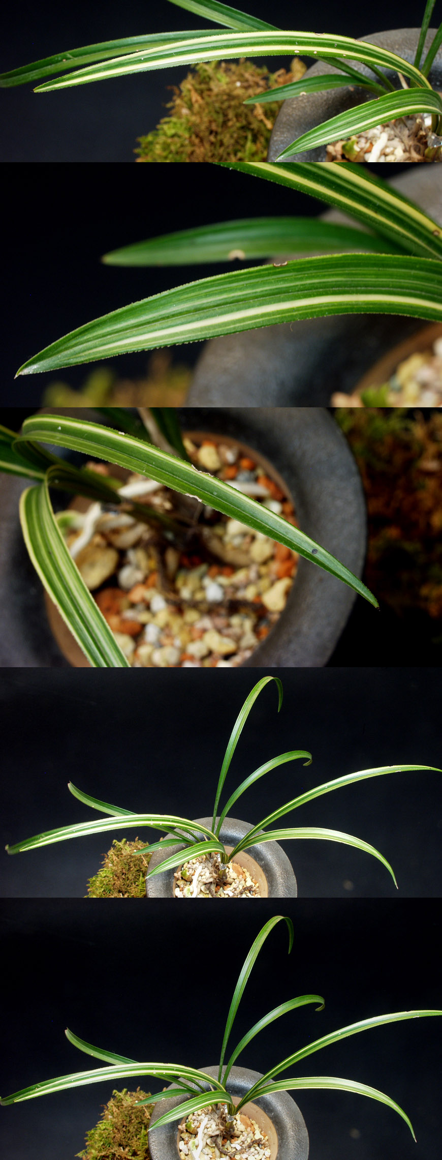 ������ ū������ �� �� �ֽ��ϴ�.