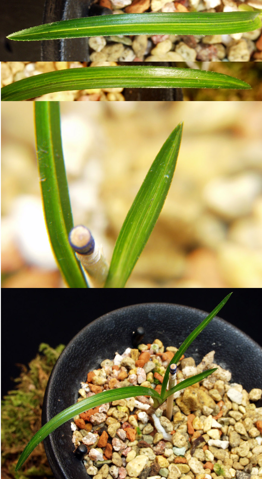 ������ ū������ �� �� �ֽ��ϴ�.