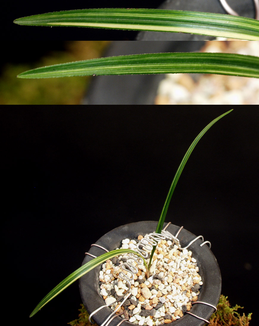 ������ ū������ �� �� �ֽ��ϴ�.