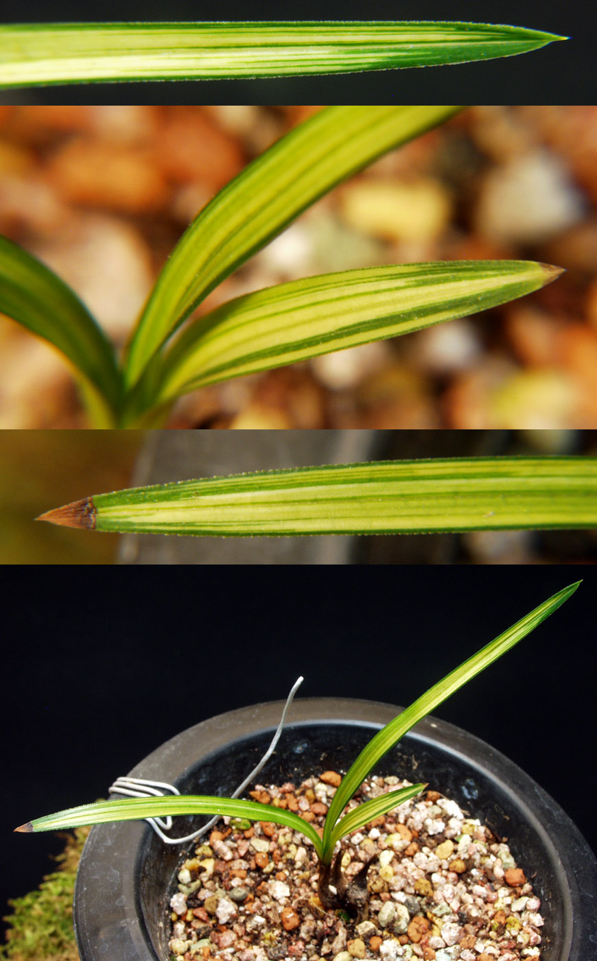 ������ ū������ �� �� �ֽ��ϴ�.