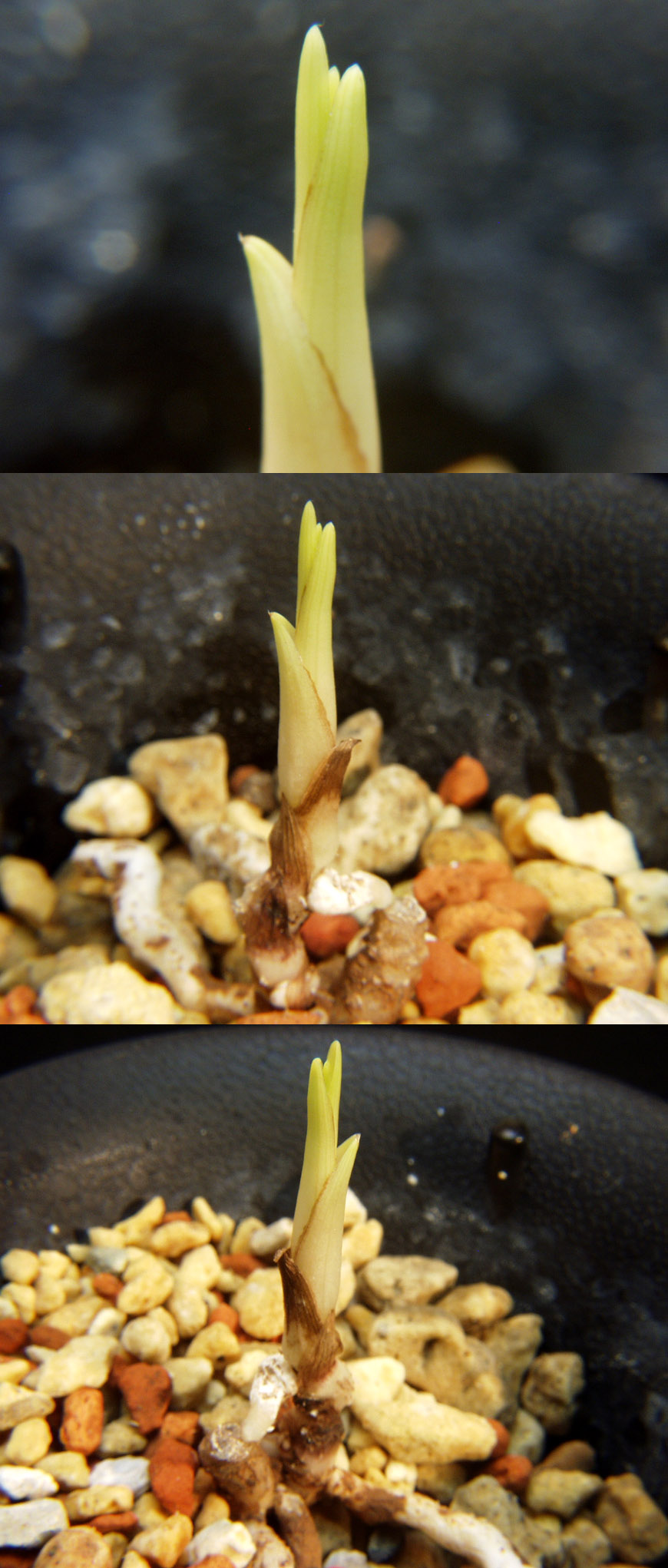 ������ ū������ �� �� �ֽ��ϴ�.