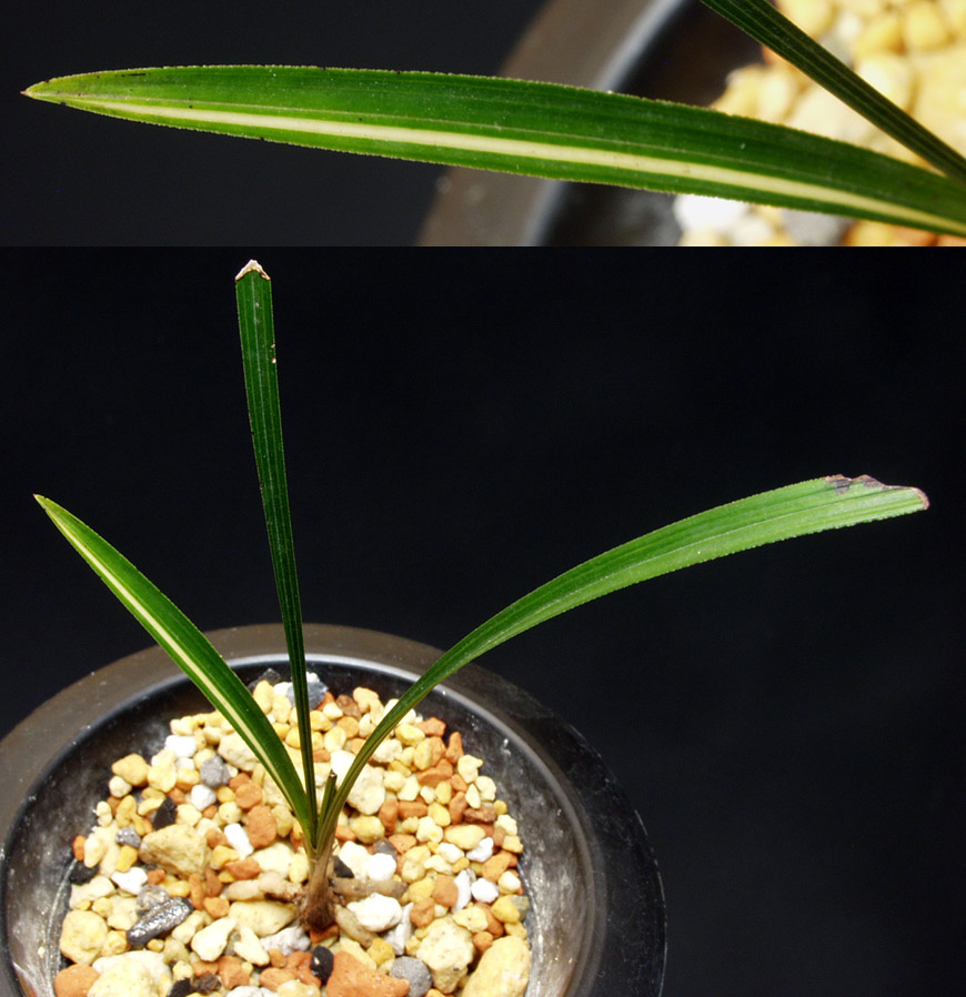 ������ ū������ �� �� �ֽ��ϴ�.