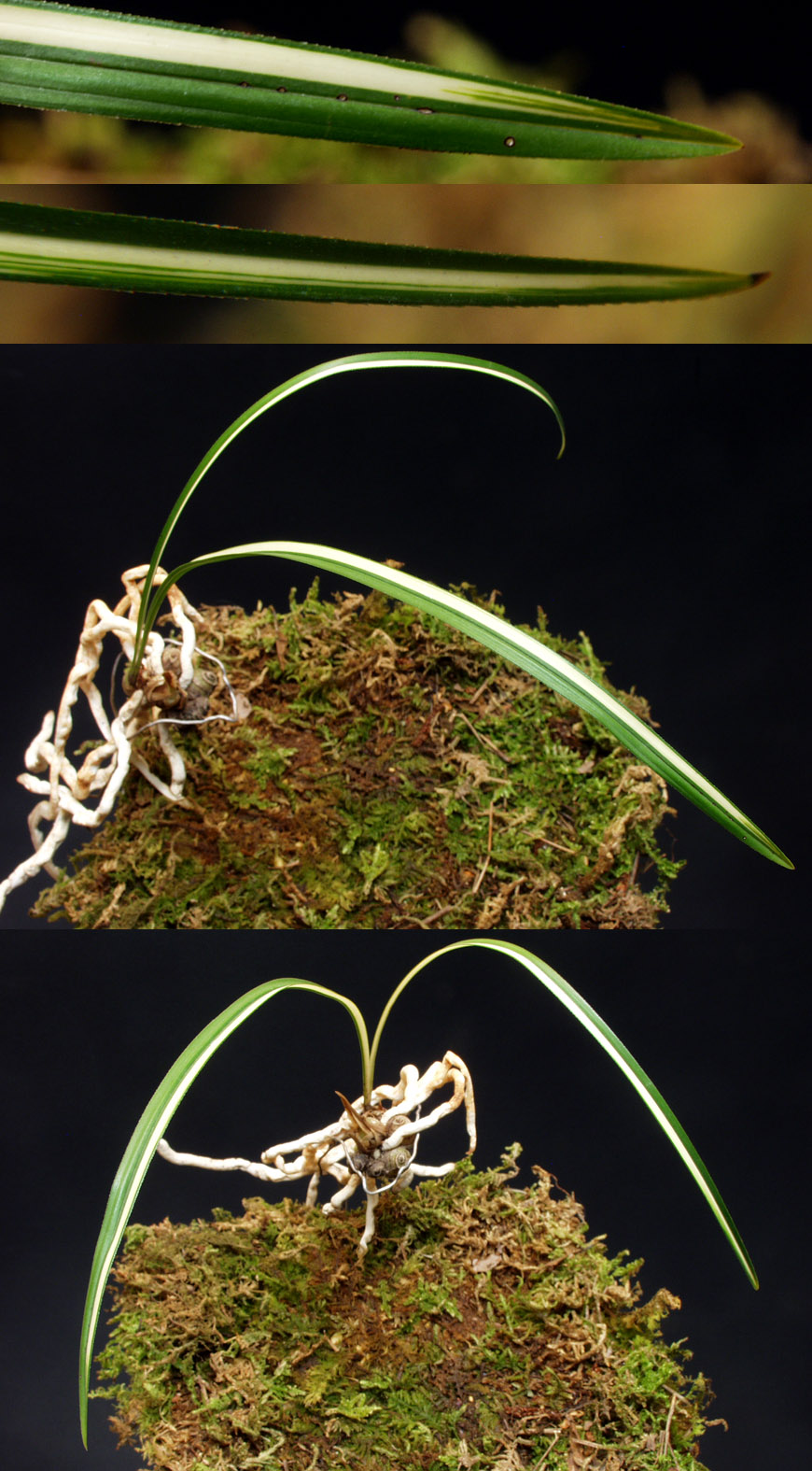 ������ ū������ �� �� �ֽ��ϴ�.