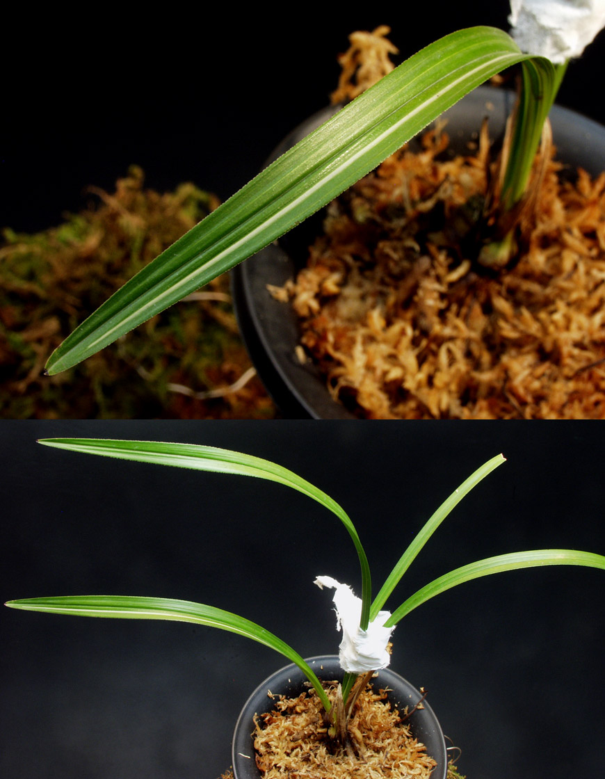 ������ ū������ �� �� �ֽ��ϴ�.