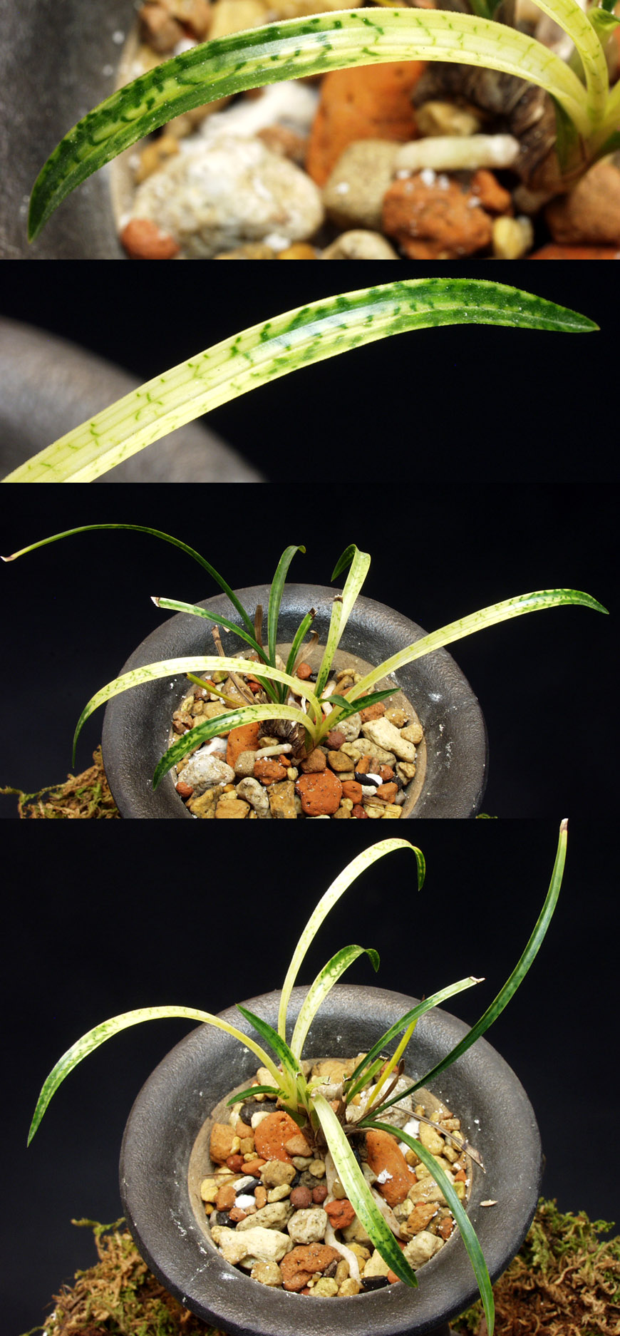 ������ ū������ �� �� �ֽ��ϴ�.