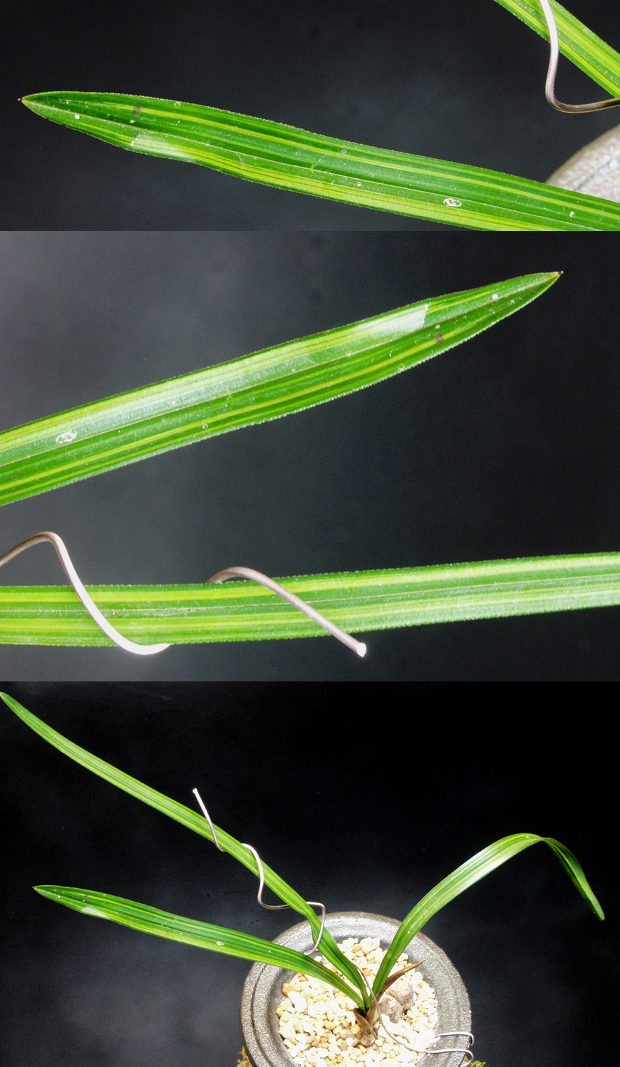 ������ ū������ �� �� �ֽ��ϴ�.