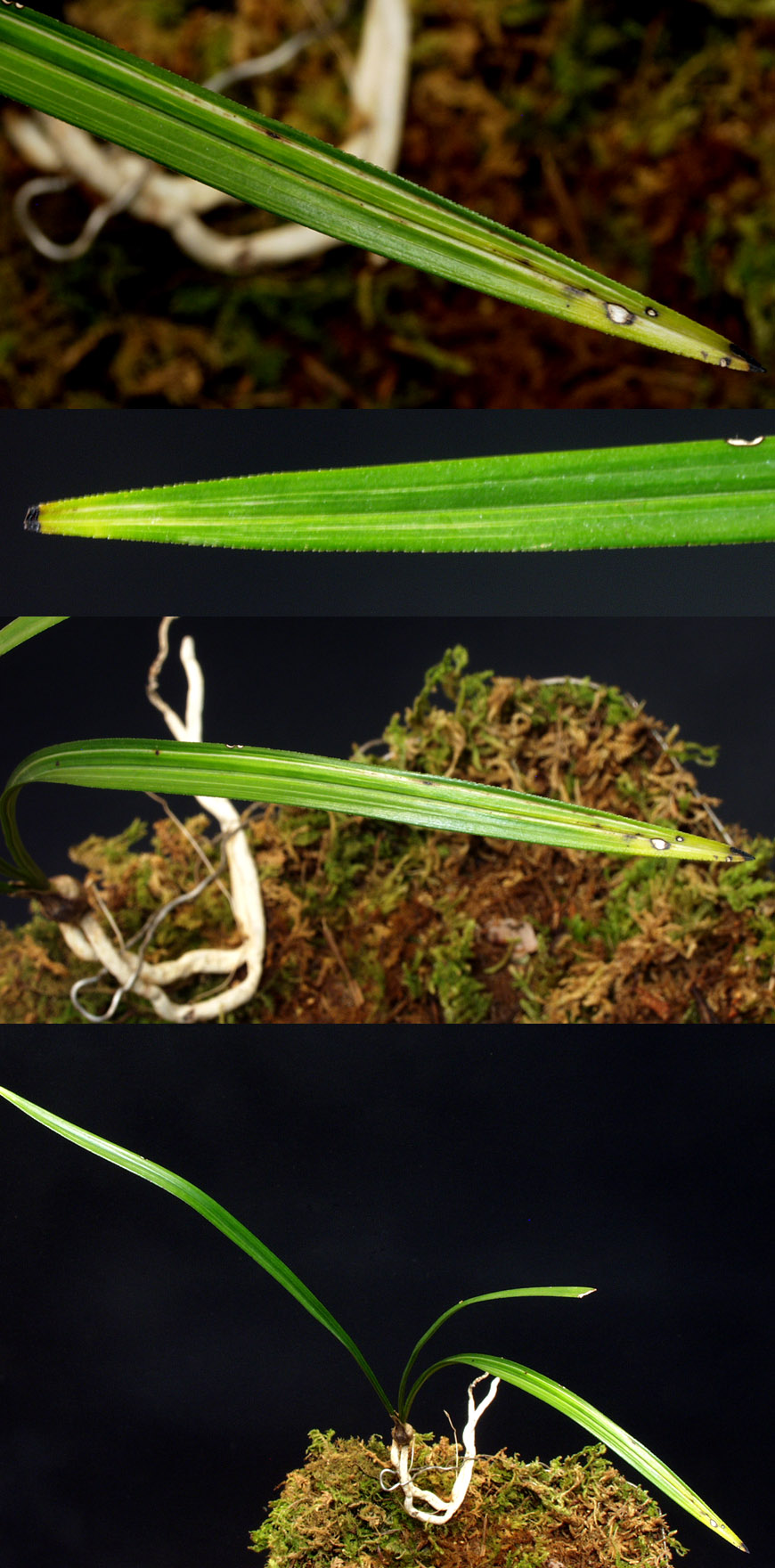 ������ ū������ �� �� �ֽ��ϴ�.