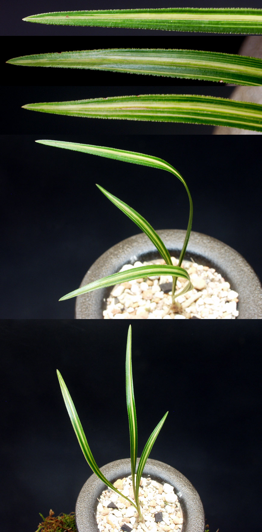 ������ ū������ �� �� �ֽ��ϴ�.