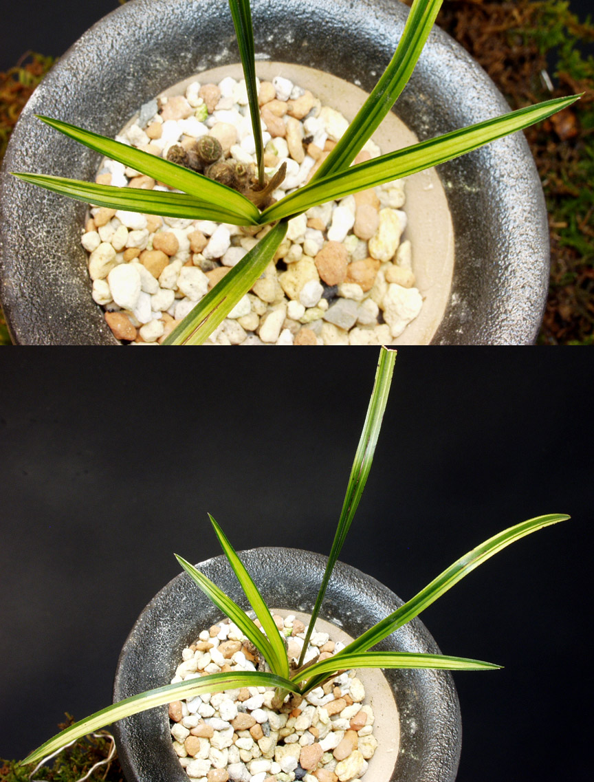 ������ ū������ �� �� �ֽ��ϴ�.