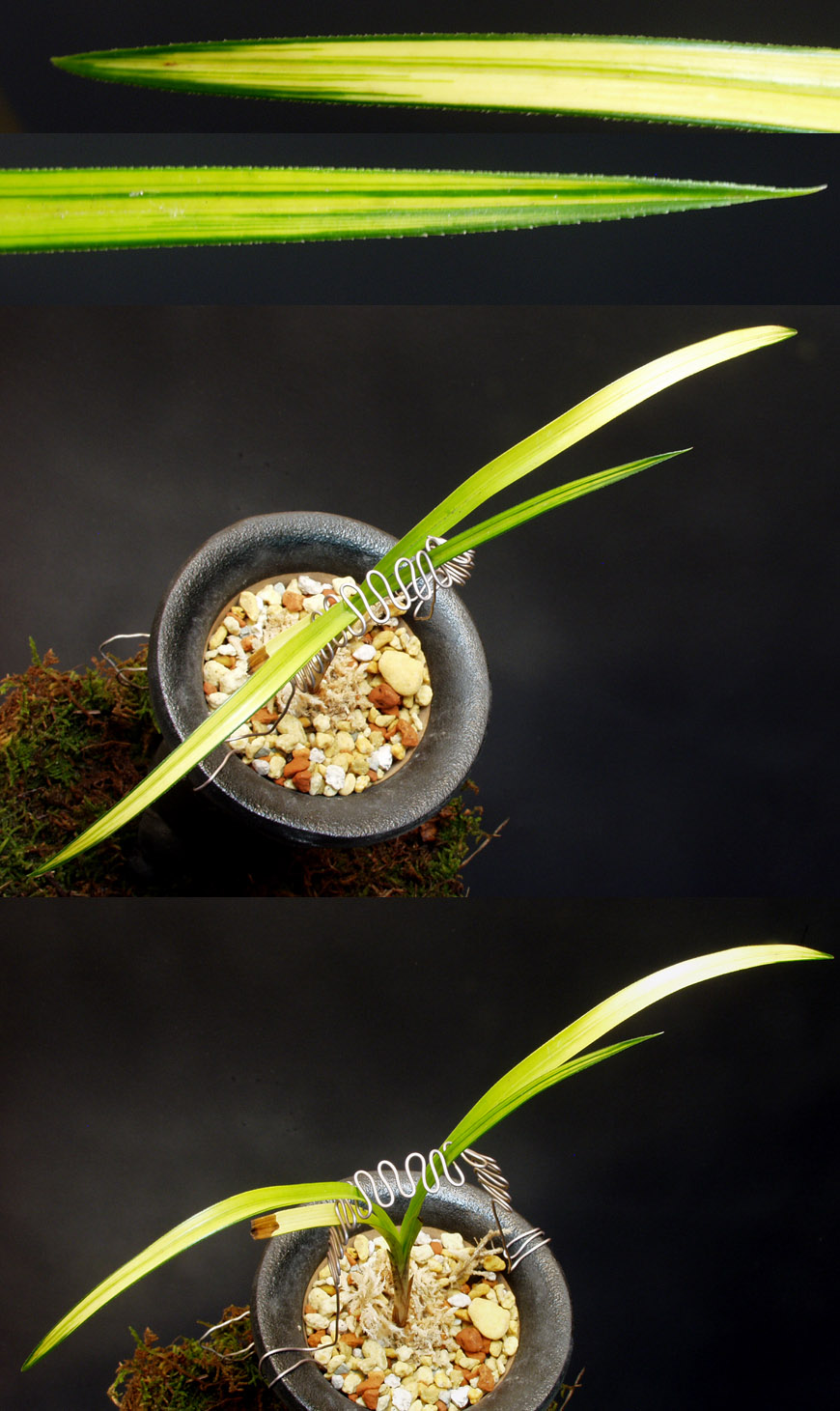 ������ ū������ �� �� �ֽ��ϴ�.