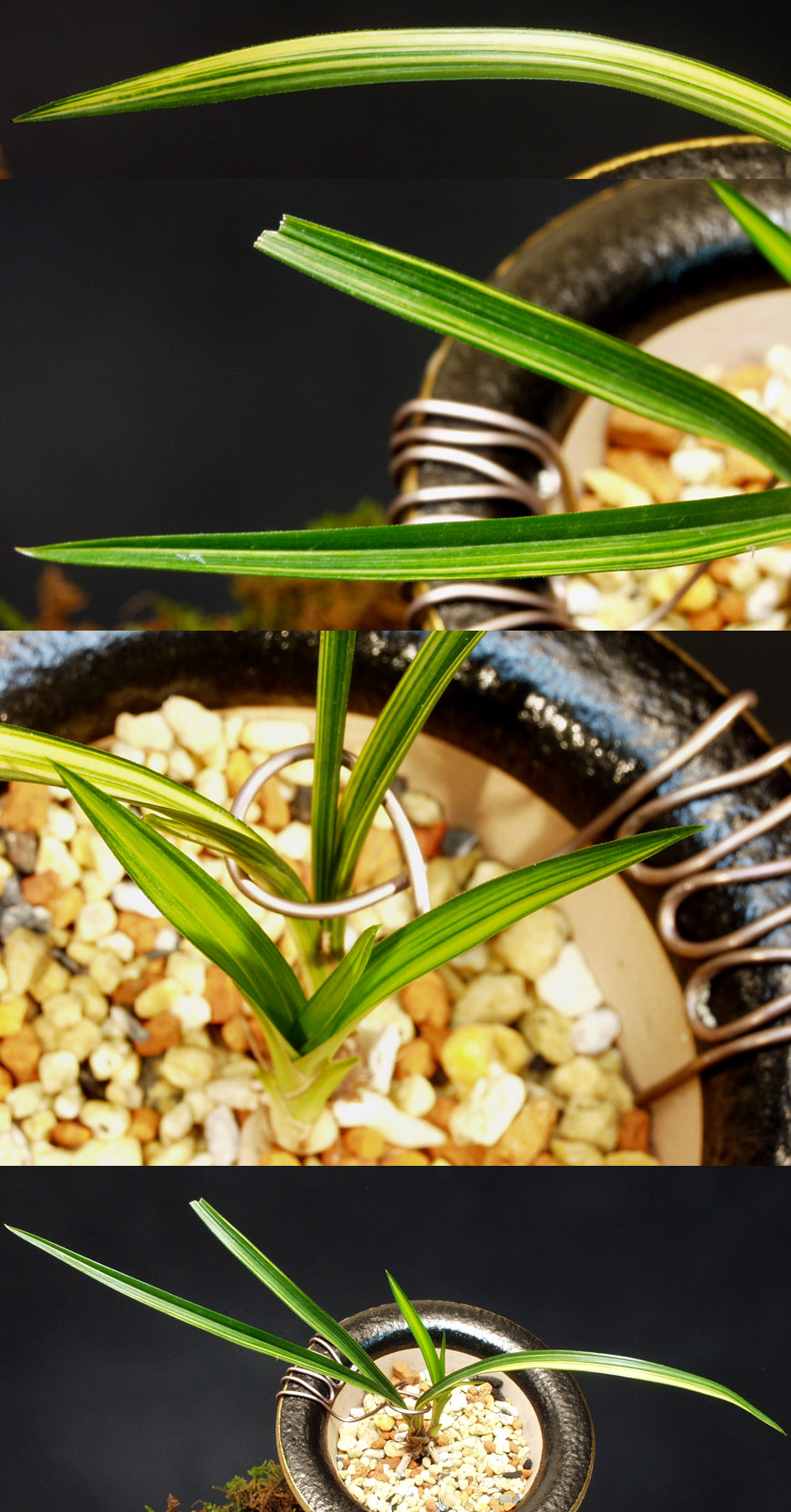 ������ ū������ �� �� �ֽ��ϴ�.