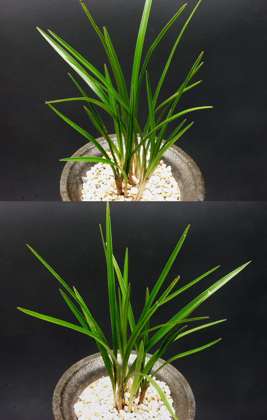 ������ ū������ �� �� �ֽ��ϴ�.