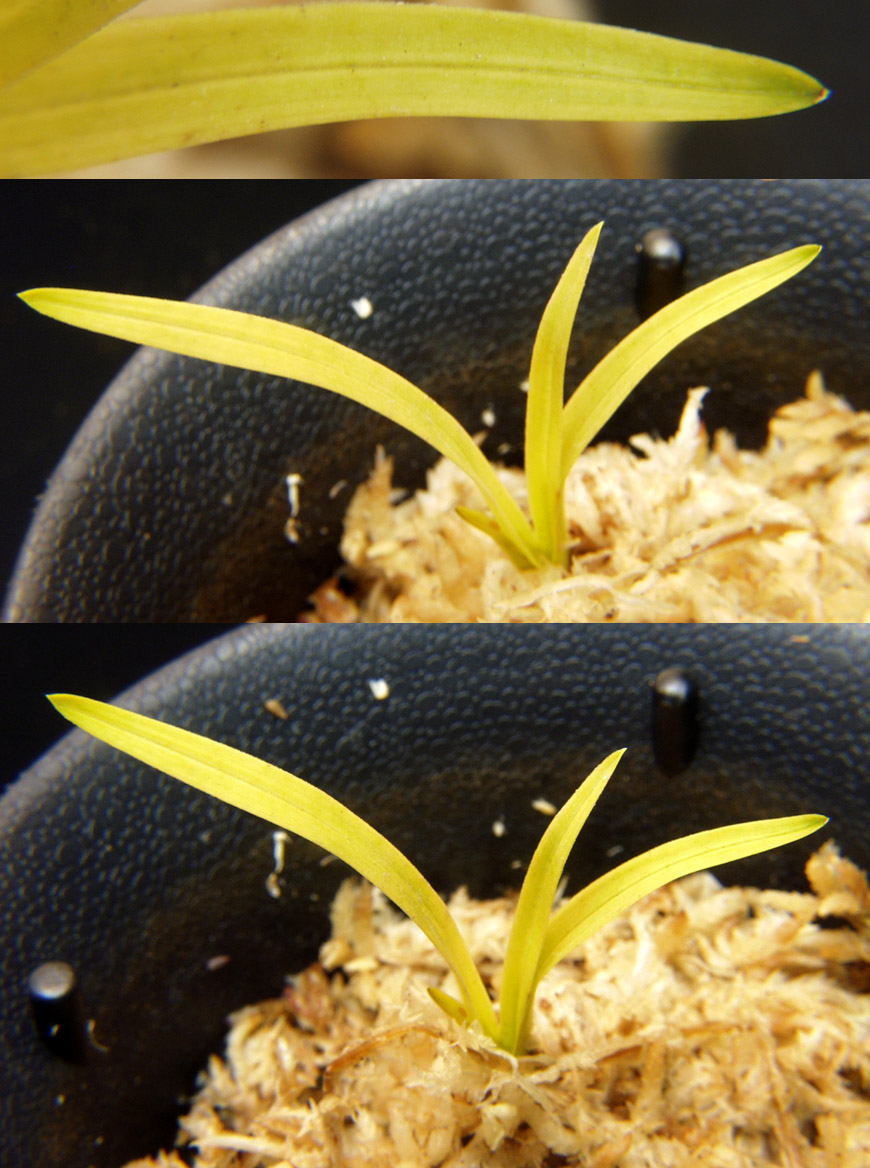 ������ ū������ �� �� �ֽ��ϴ�.