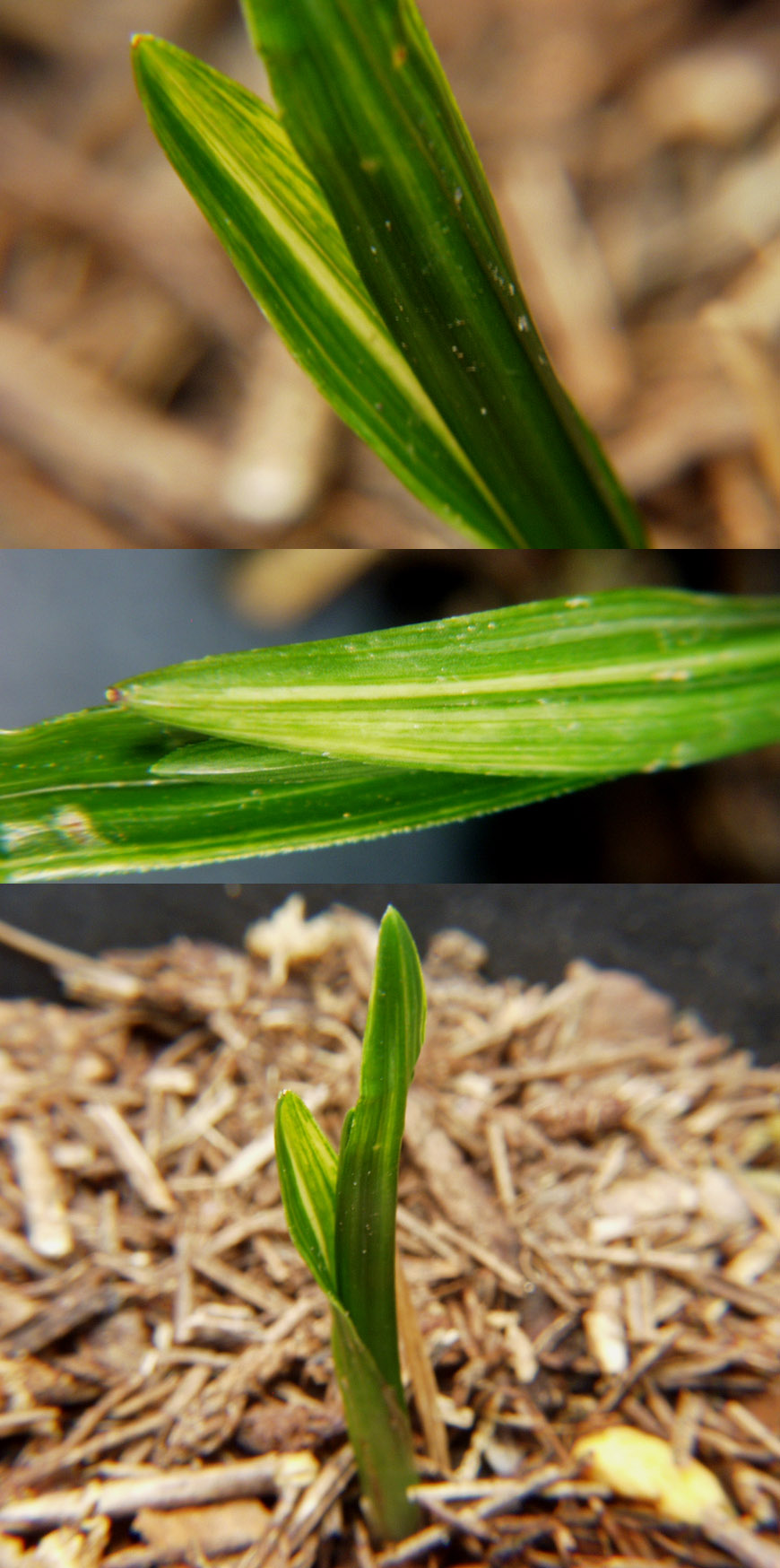 ������ ū������ �� �� �ֽ��ϴ�.