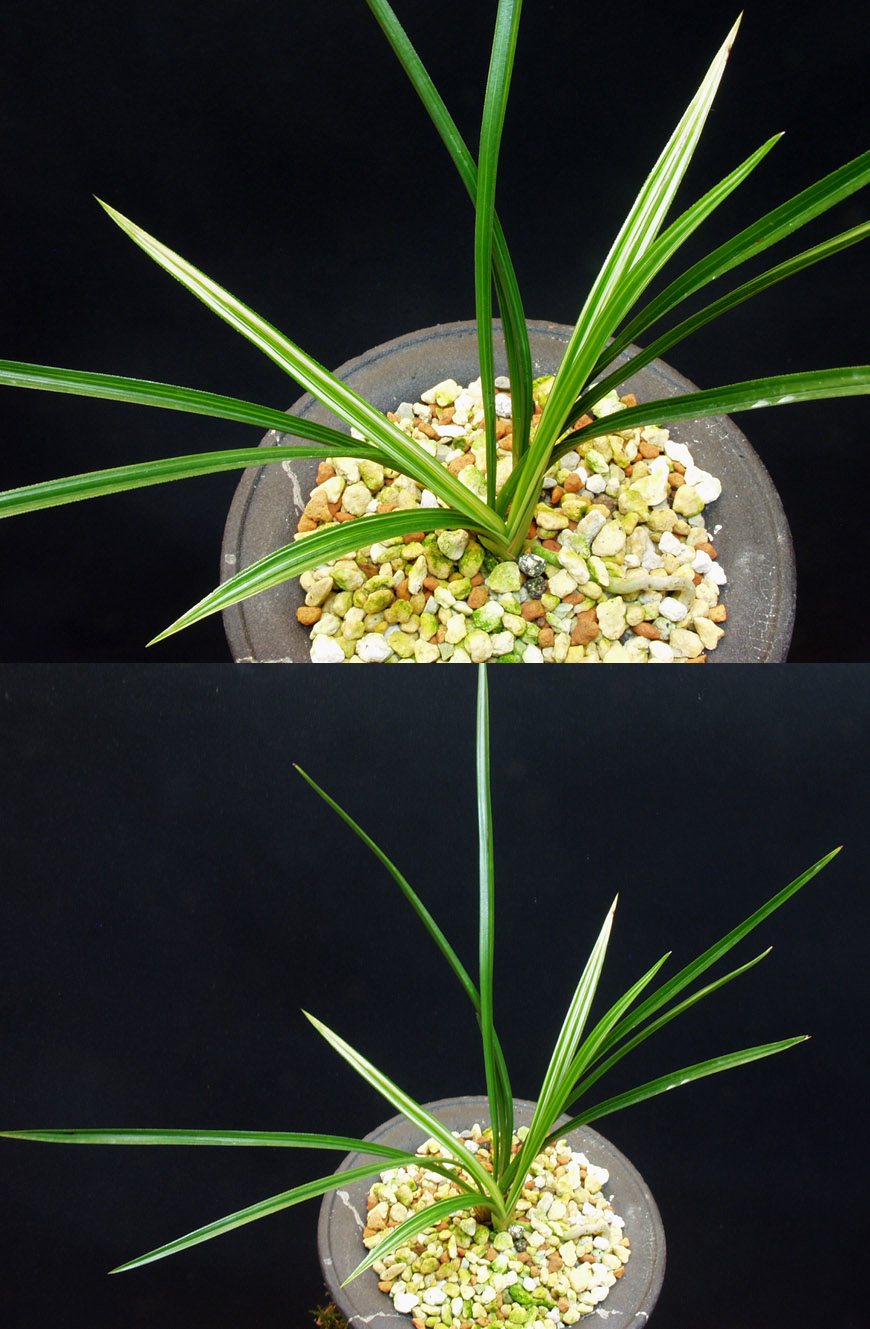 ������ ū������ �� �� �ֽ��ϴ�.