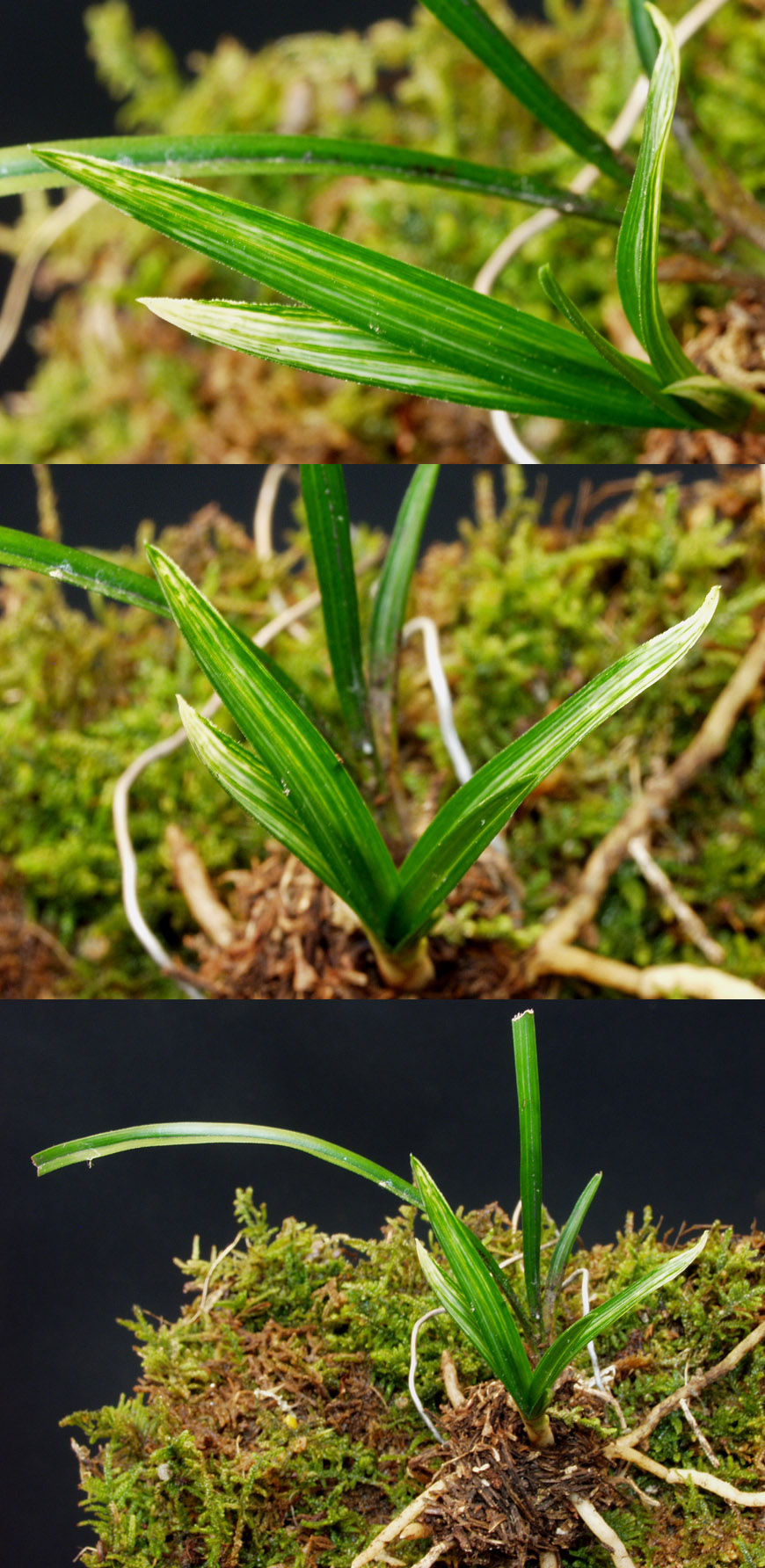 ������ ū������ �� �� �ֽ��ϴ�.