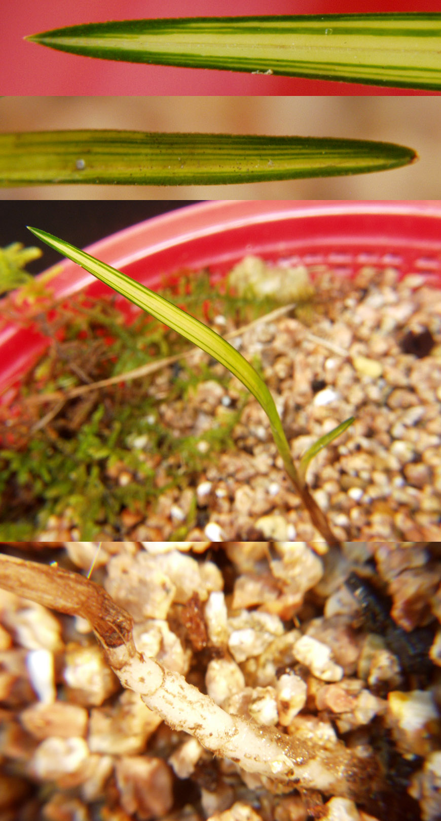 ������ ū������ �� �� �ֽ��ϴ�.