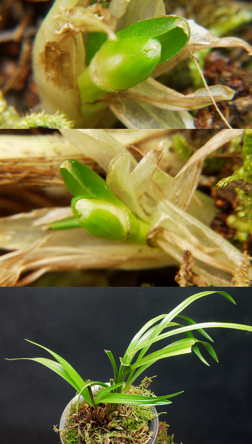 ������ ū������ �� �� �ֽ��ϴ�.