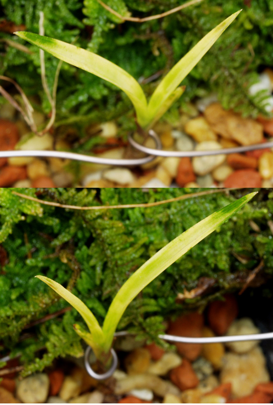 ������ ū������ �� �� �ֽ��ϴ�.