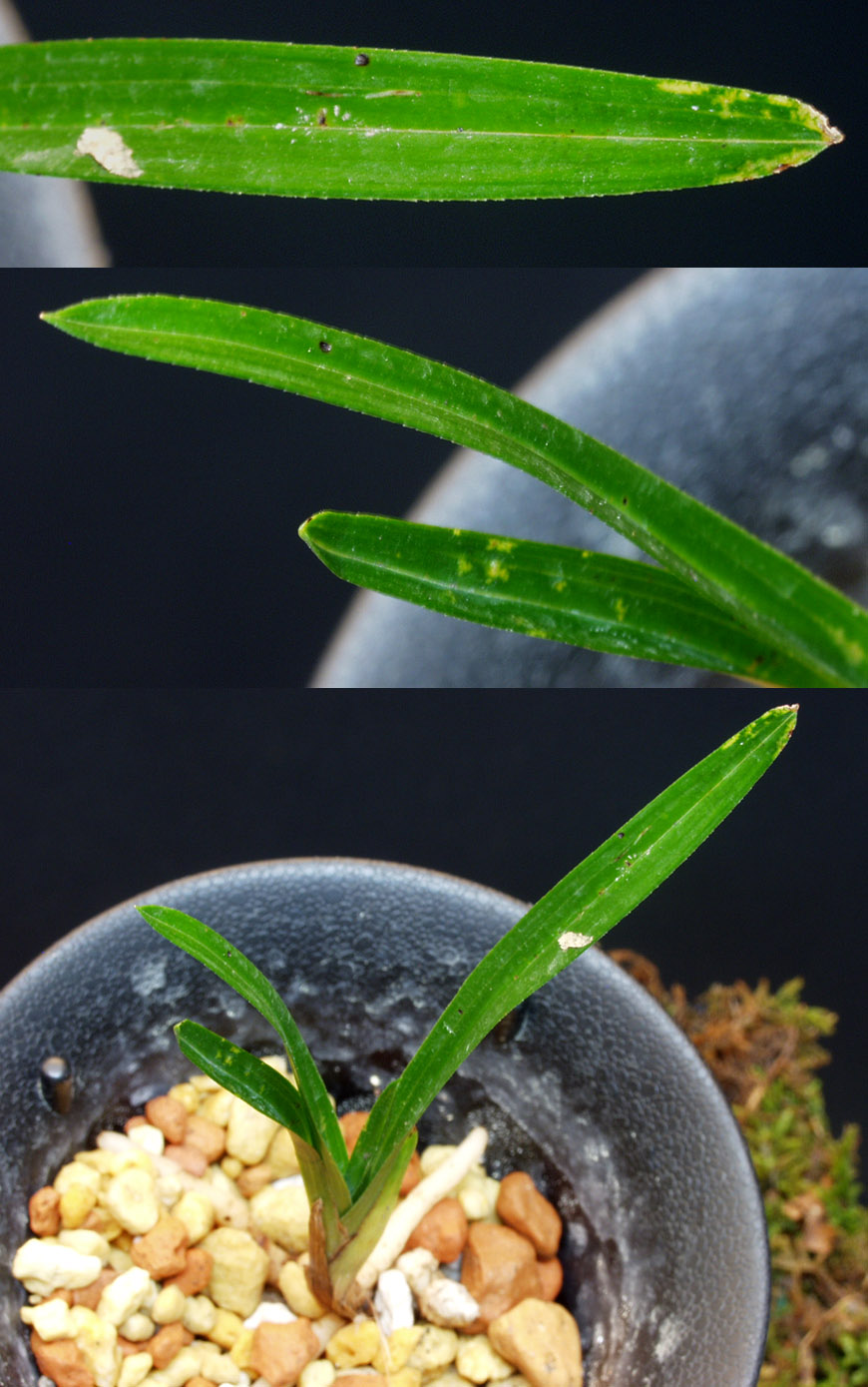 ������ ū������ �� �� �ֽ��ϴ�.