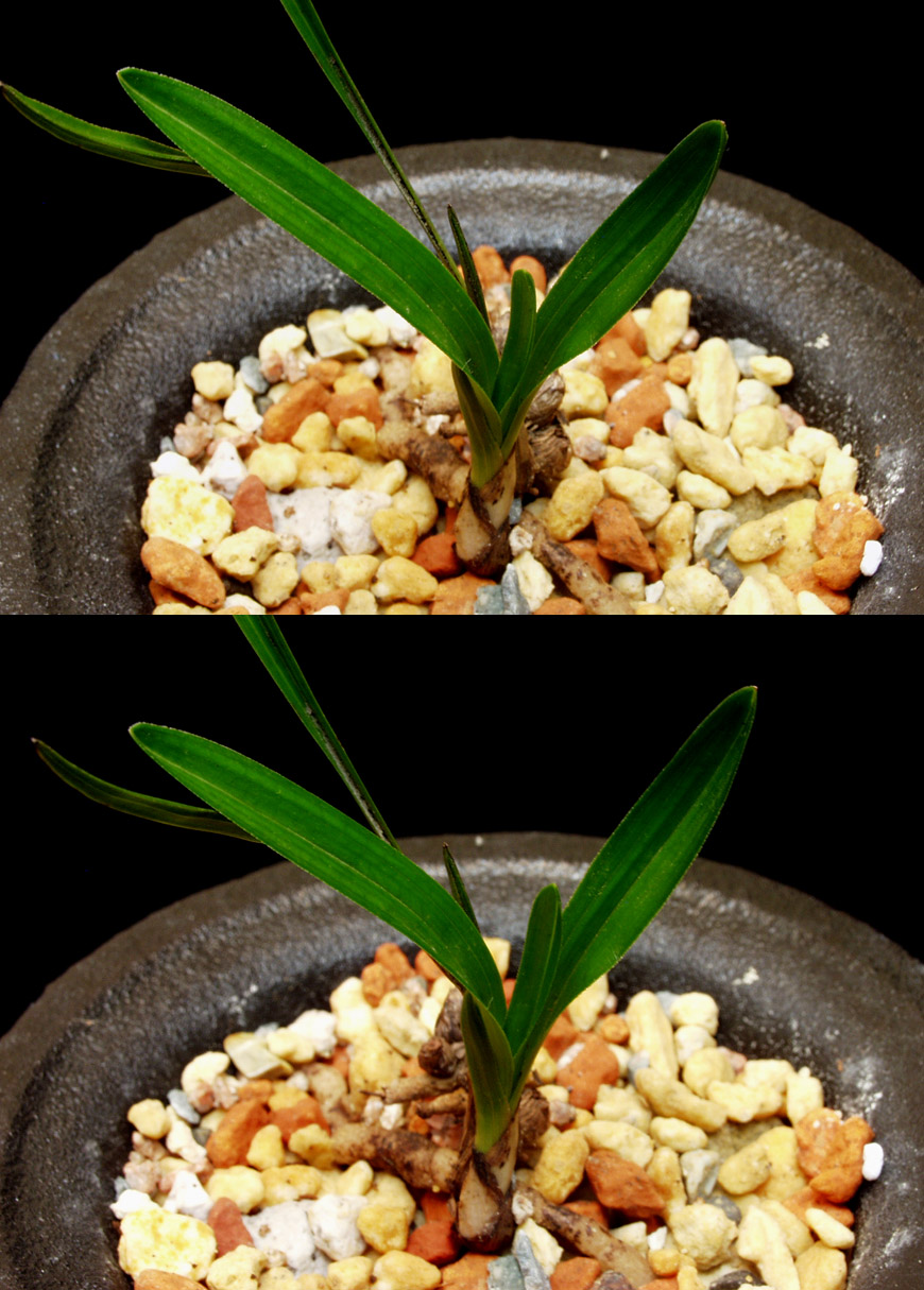 ������ ū������ �� �� �ֽ��ϴ�.