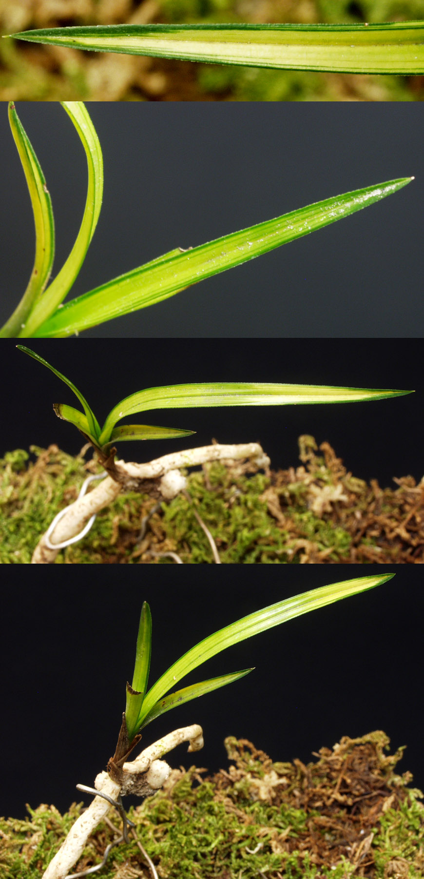 ������ ū������ �� �� �ֽ��ϴ�.