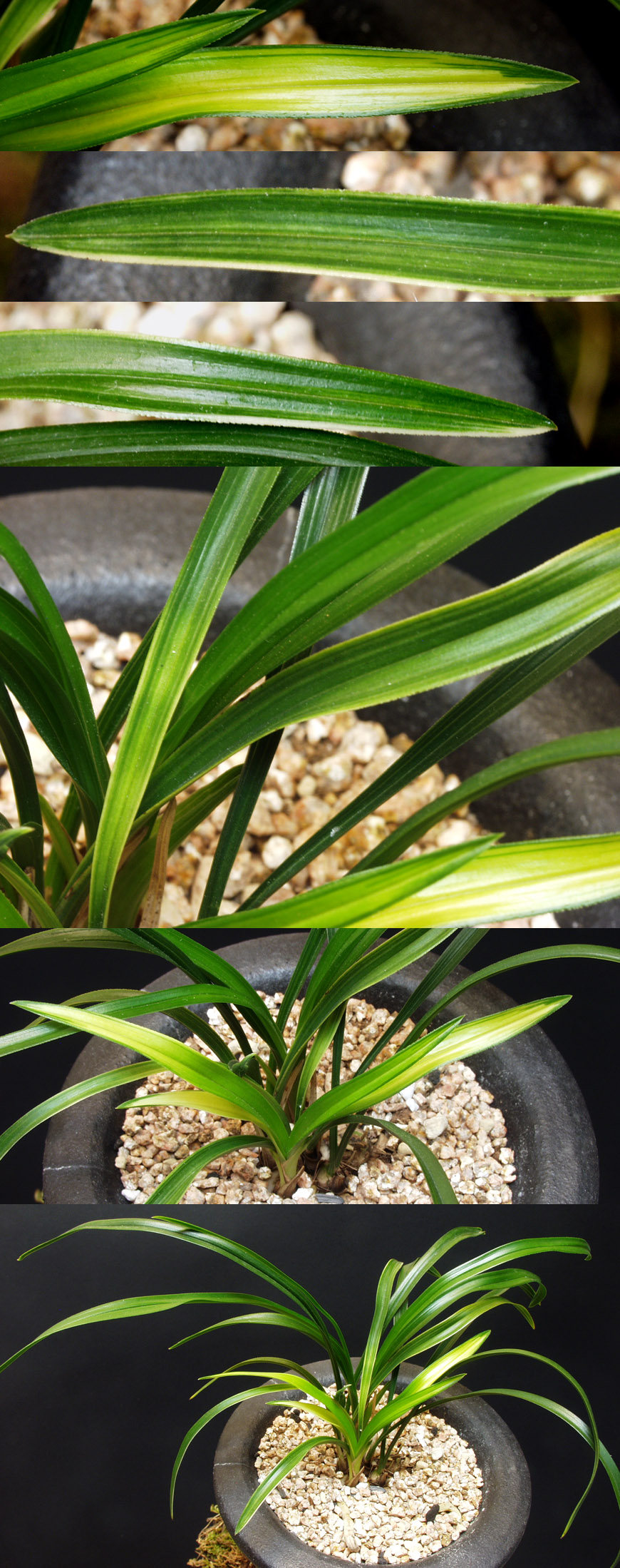 ������ ū������ �� �� �ֽ��ϴ�.