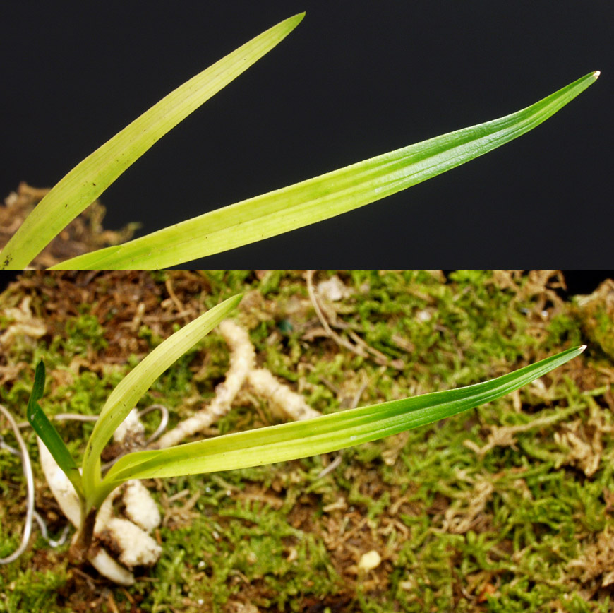 ������ ū������ �� �� �ֽ��ϴ�.