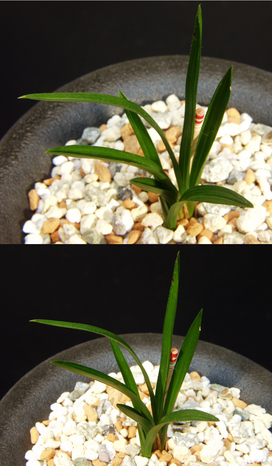 ������ ū������ �� �� �ֽ��ϴ�.