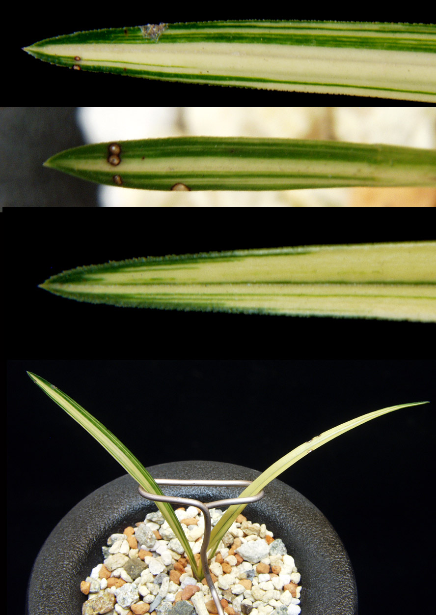 ������ ū������ �� �� �ֽ��ϴ�.