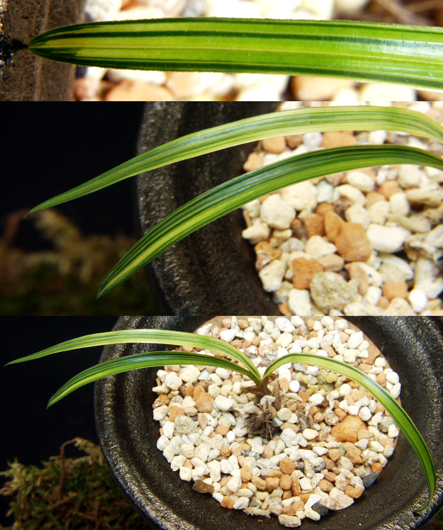 ������ ū������ �� �� �ֽ��ϴ�.