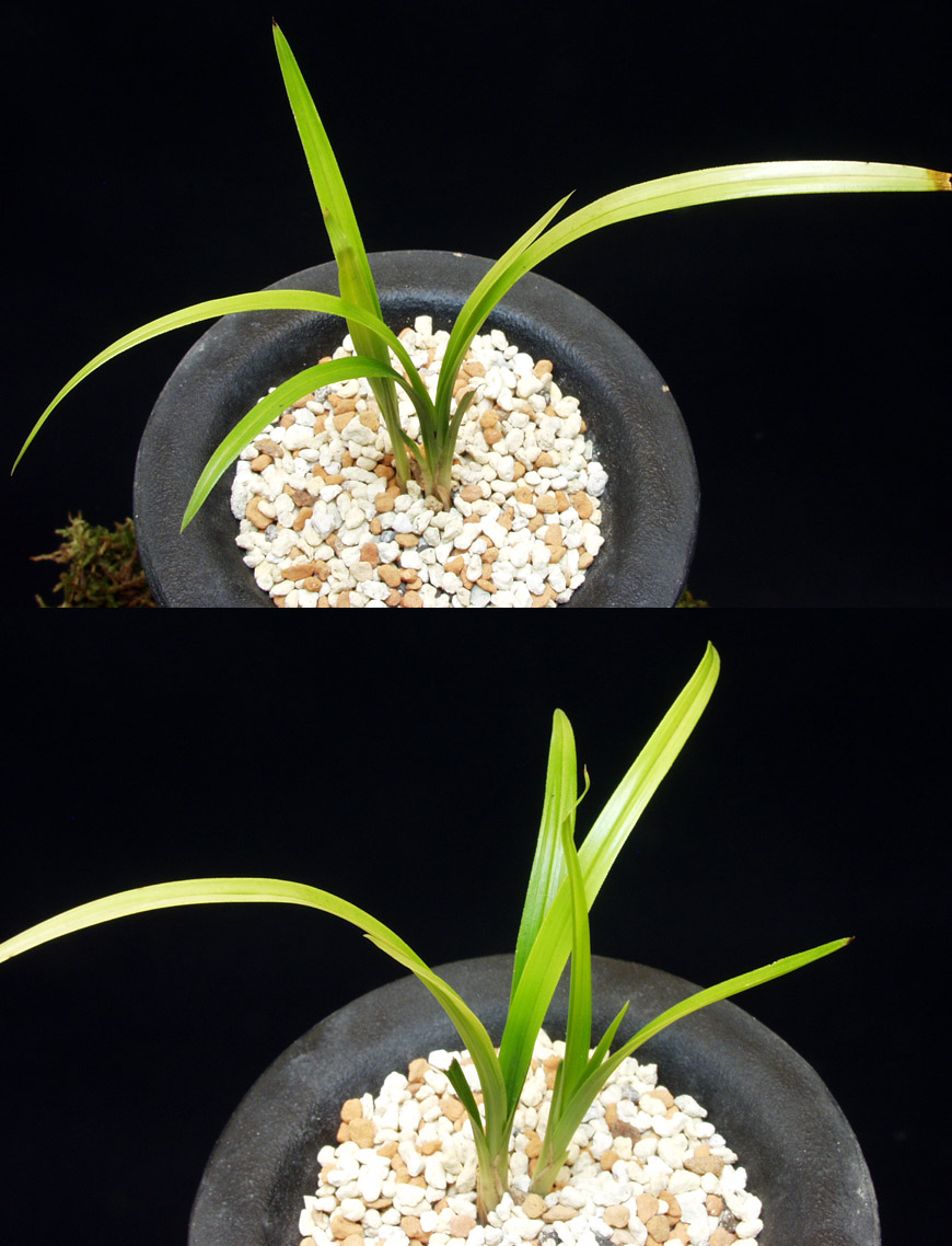 ������ ū������ �� �� �ֽ��ϴ�.