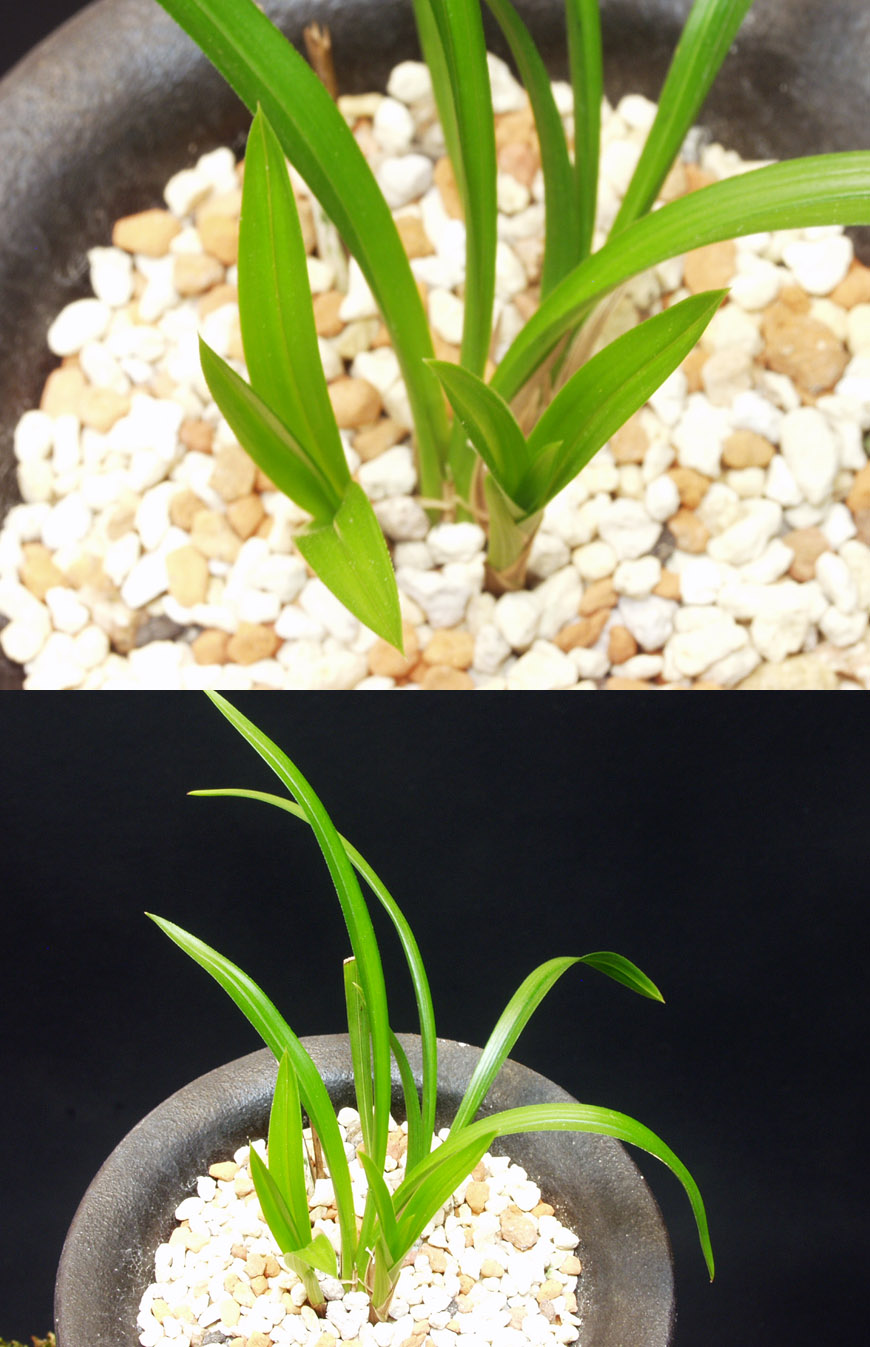 ������ ū������ �� �� �ֽ��ϴ�.