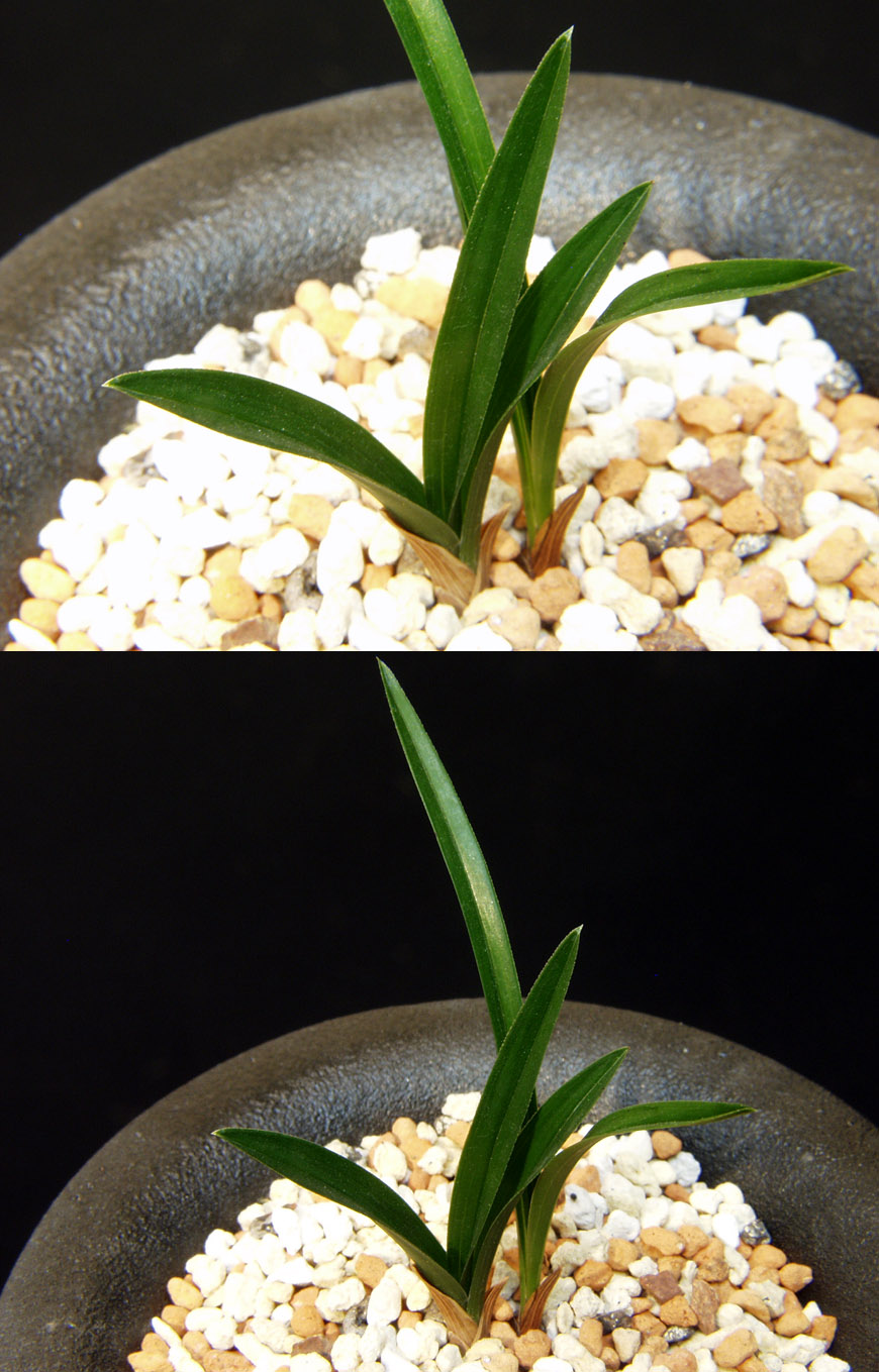 ������ ū������ �� �� �ֽ��ϴ�.