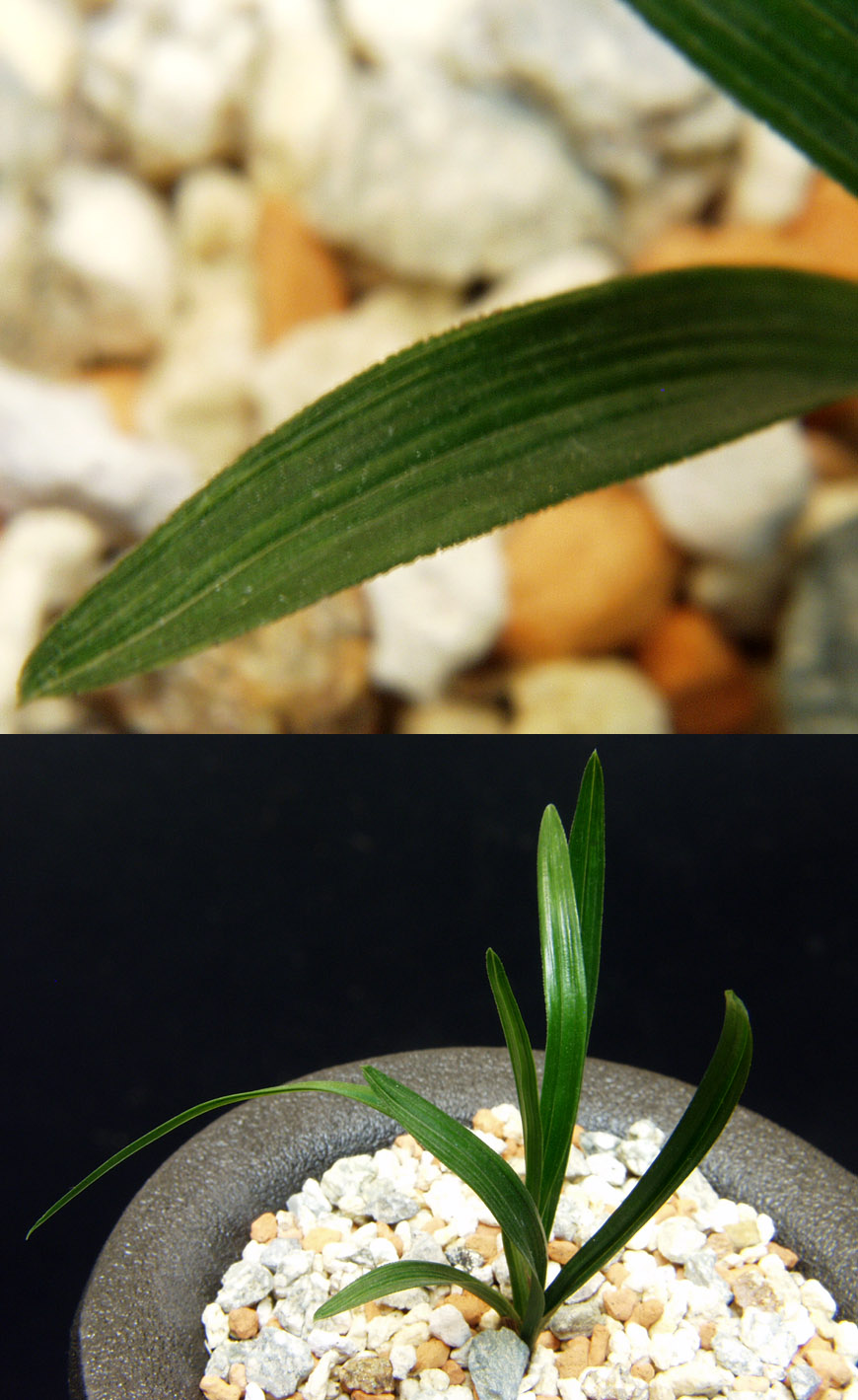 ������ ū������ �� �� �ֽ��ϴ�.