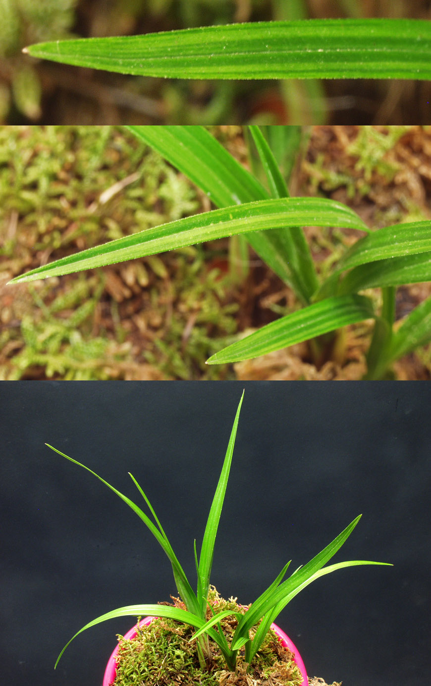 ������ ū������ �� �� �ֽ��ϴ�.