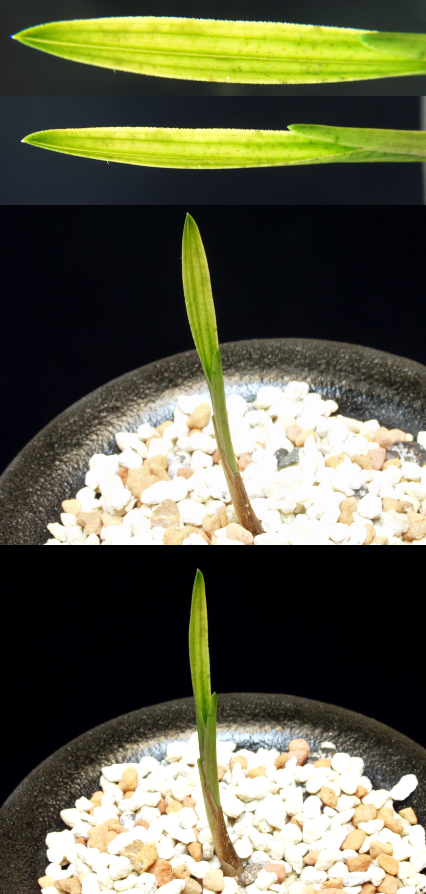 ������ ū������ �� �� �ֽ��ϴ�.