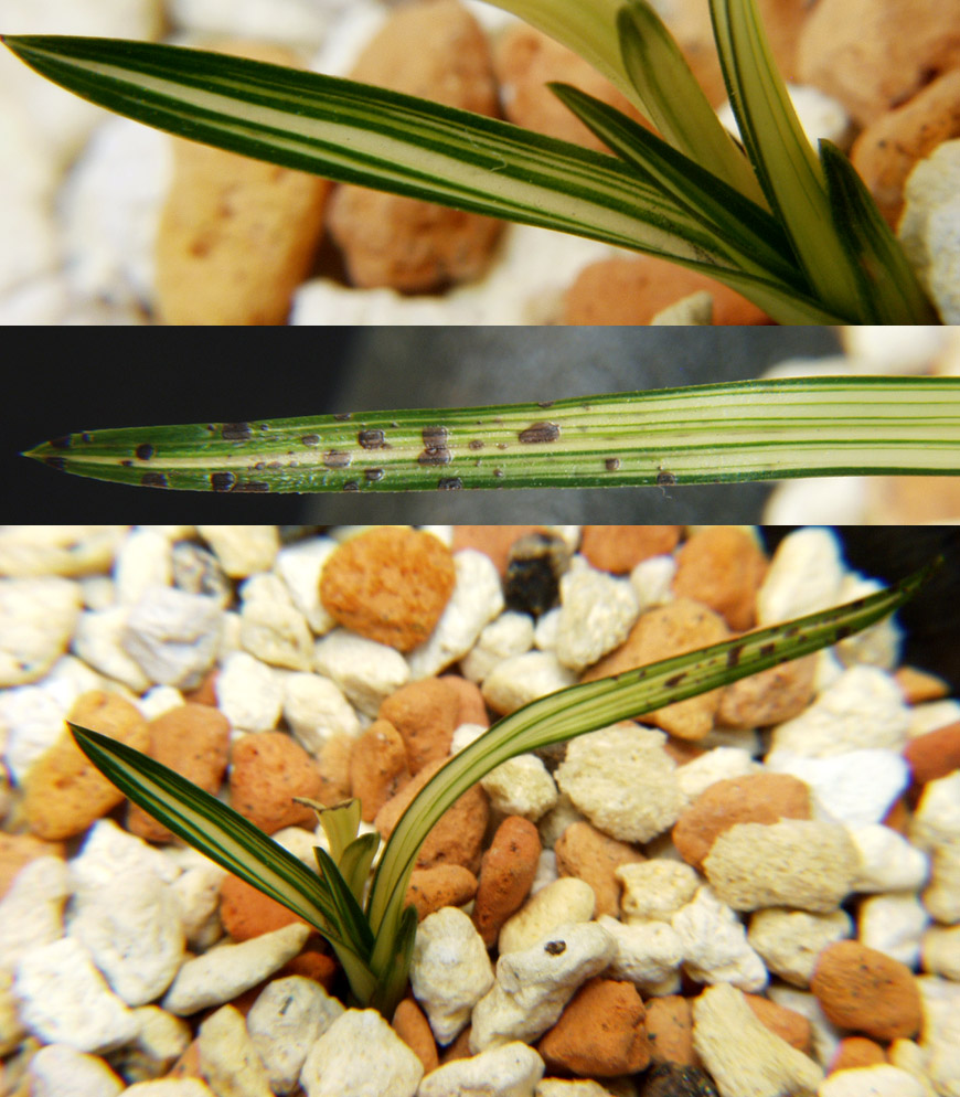 ������ ū������ �� �� �ֽ��ϴ�.