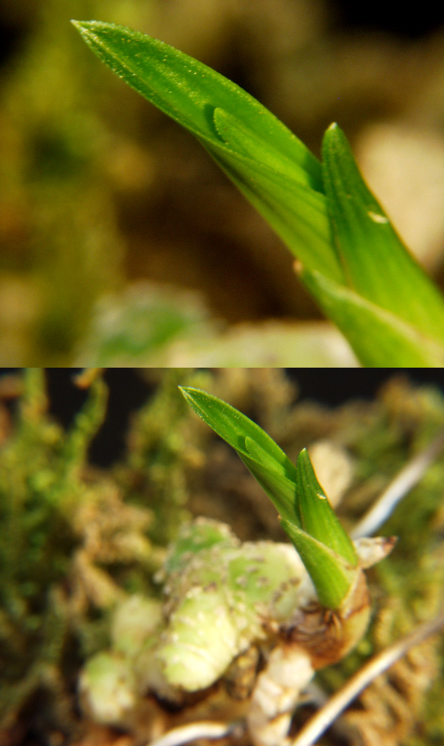 ������ ū������ �� �� �ֽ��ϴ�.