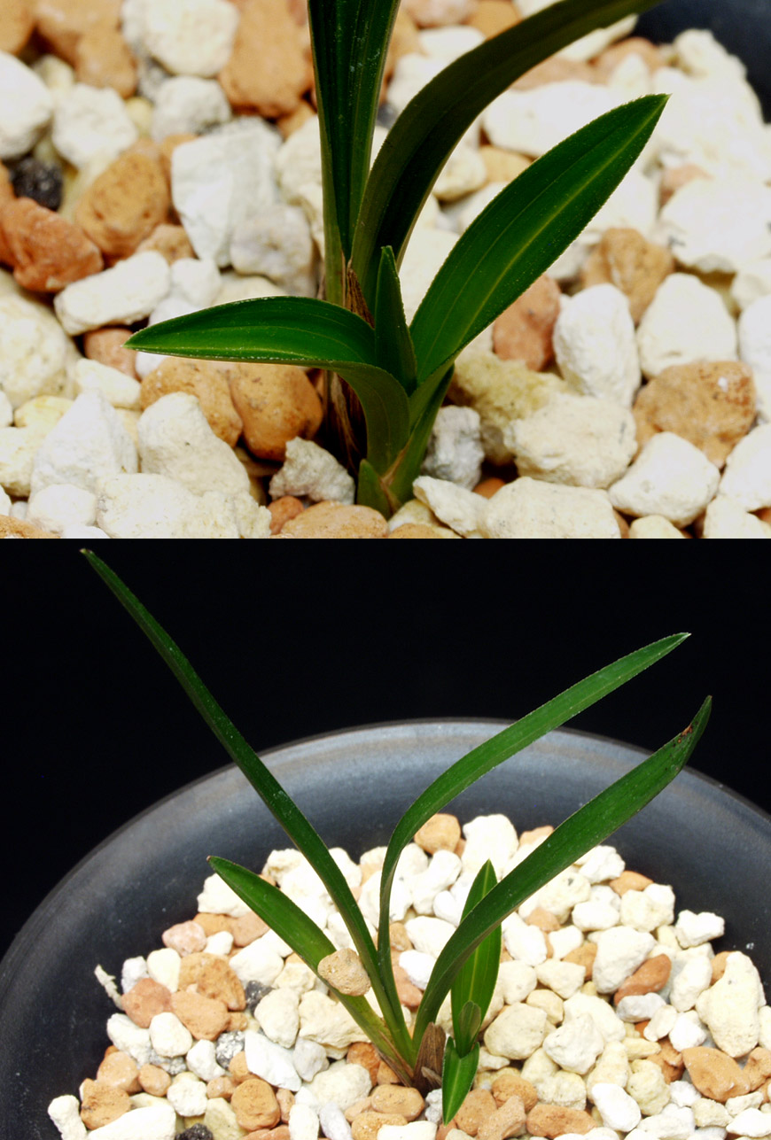 ������ ū������ �� �� �ֽ��ϴ�.