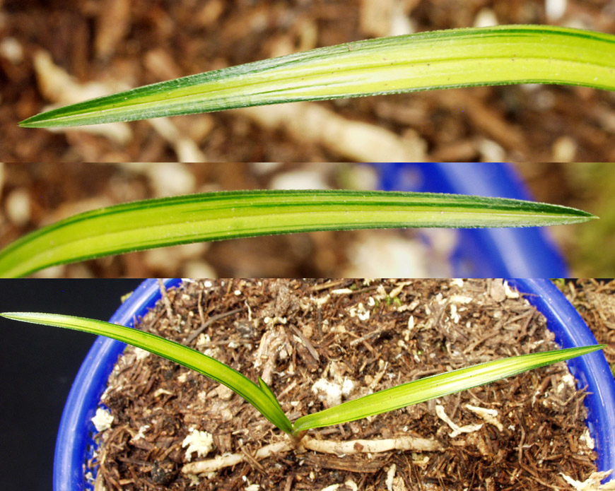 ������ ū������ �� �� �ֽ��ϴ�.