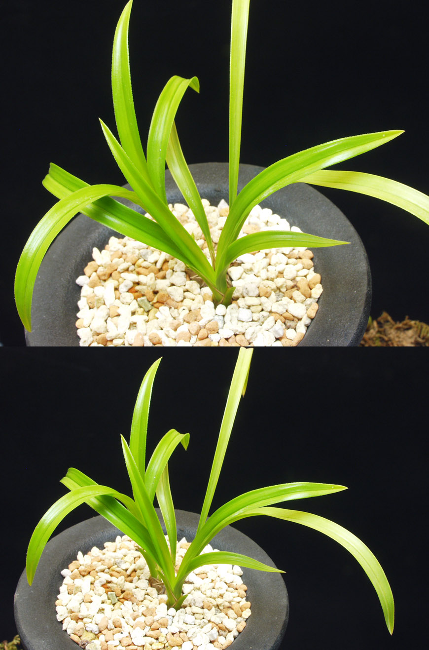 ������ ū������ �� �� �ֽ��ϴ�.