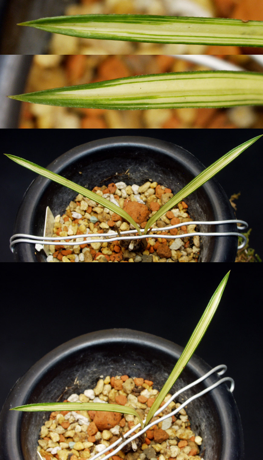 ������ ū������ �� �� �ֽ��ϴ�.