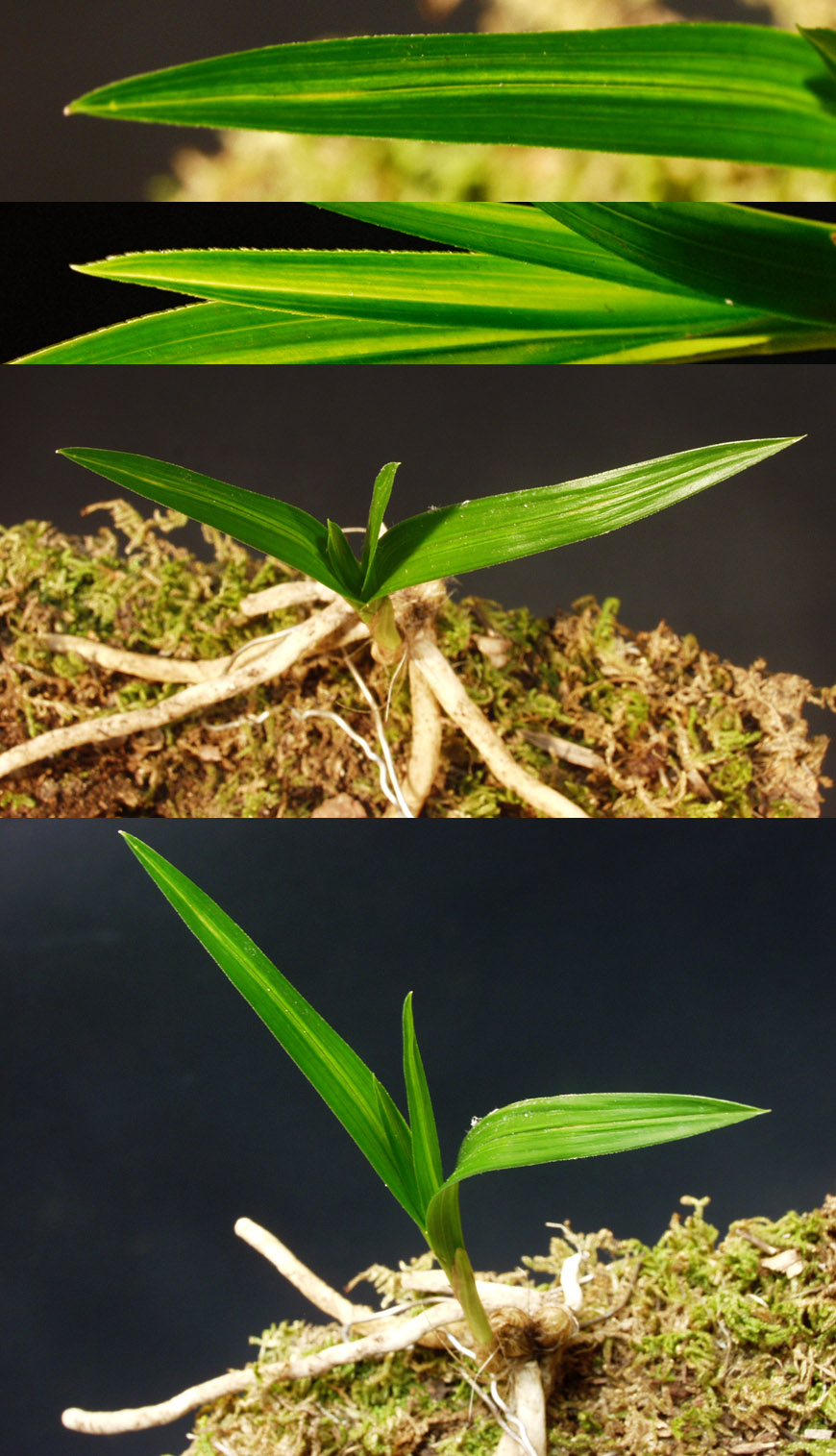 ������ ū������ �� �� �ֽ��ϴ�.