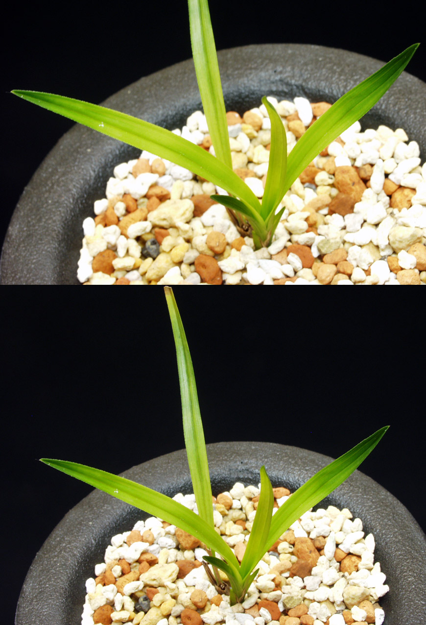 ������ ū������ �� �� �ֽ��ϴ�.