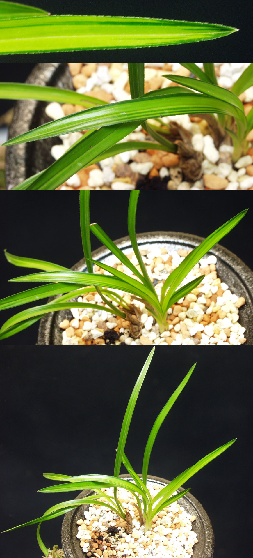 ������ ū������ �� �� �ֽ��ϴ�.